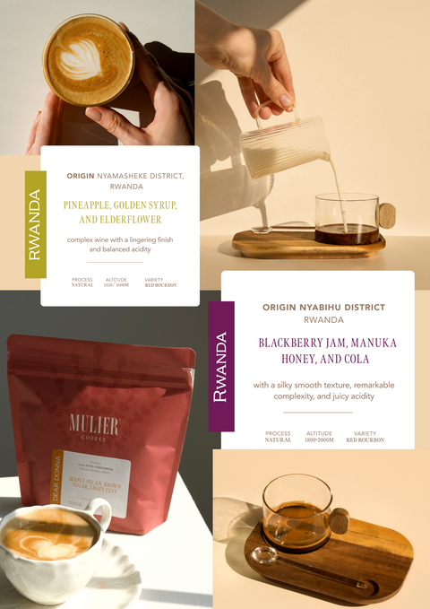 Coffee Subscription Choices