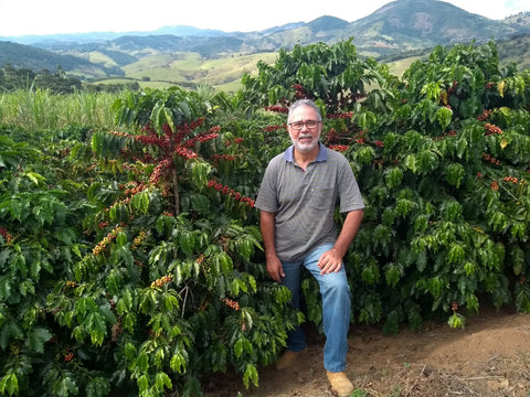 Dear Donna - Farm Santa Caratina